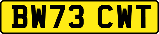 BW73CWT