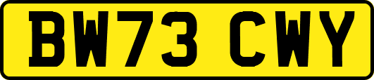 BW73CWY