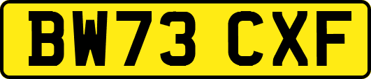 BW73CXF
