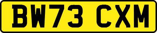 BW73CXM
