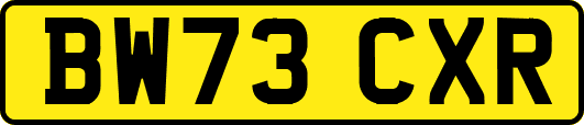 BW73CXR