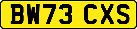 BW73CXS