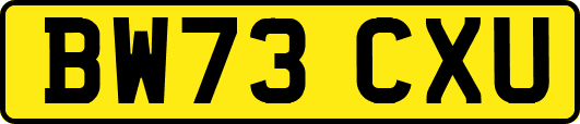 BW73CXU