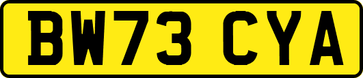 BW73CYA
