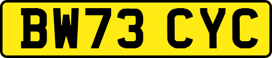 BW73CYC