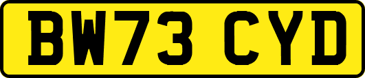 BW73CYD