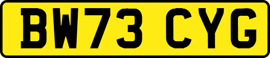 BW73CYG