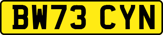 BW73CYN