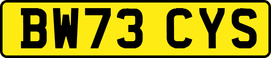 BW73CYS