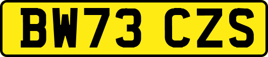 BW73CZS