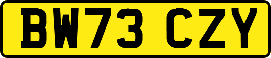 BW73CZY