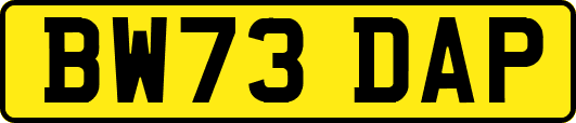 BW73DAP