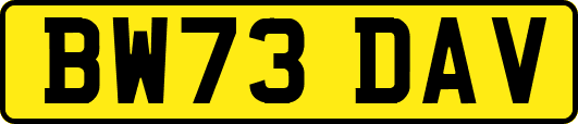 BW73DAV
