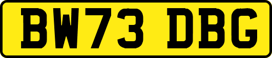 BW73DBG