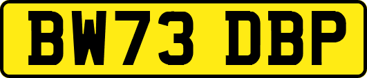 BW73DBP