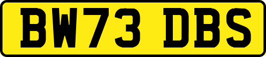 BW73DBS