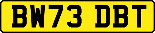 BW73DBT