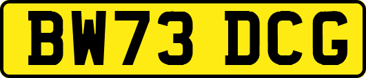 BW73DCG