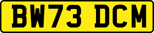 BW73DCM