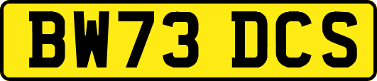 BW73DCS