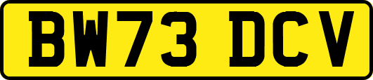 BW73DCV