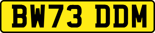 BW73DDM