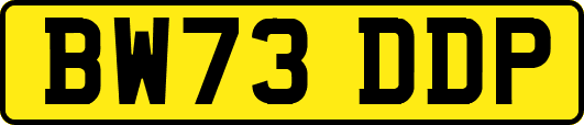 BW73DDP