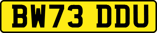 BW73DDU