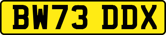BW73DDX