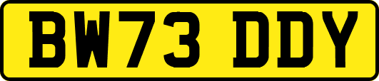BW73DDY