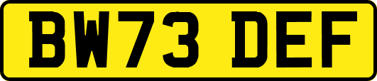 BW73DEF