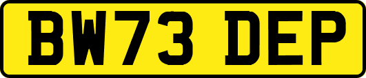 BW73DEP