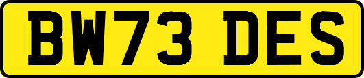 BW73DES