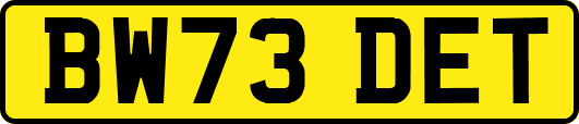 BW73DET