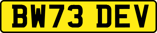 BW73DEV