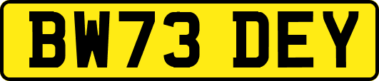 BW73DEY