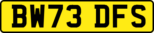 BW73DFS