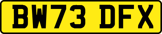BW73DFX