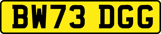 BW73DGG