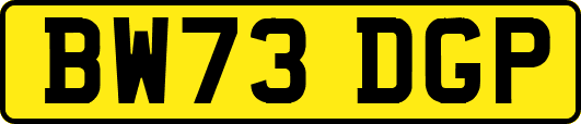 BW73DGP