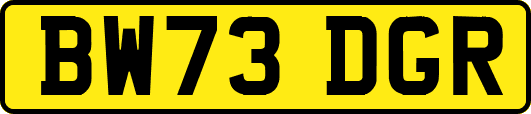 BW73DGR