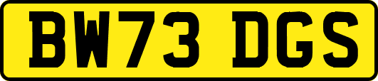 BW73DGS