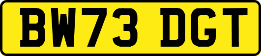 BW73DGT