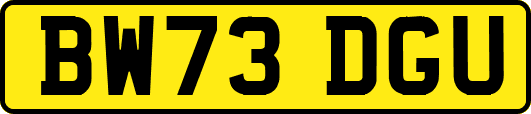 BW73DGU
