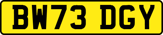 BW73DGY
