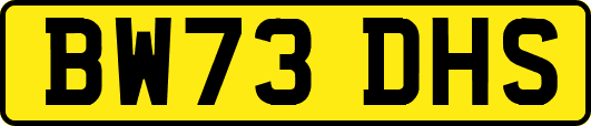 BW73DHS