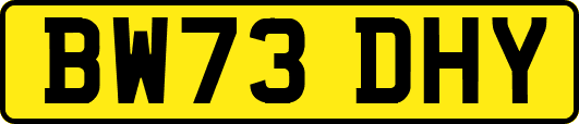 BW73DHY