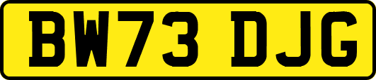 BW73DJG