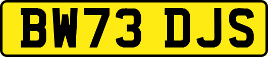 BW73DJS
