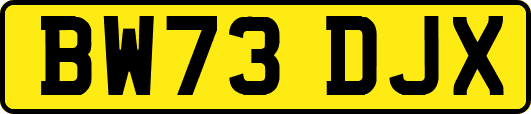 BW73DJX